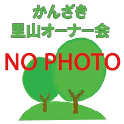 no-image